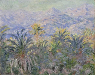 Palmen in Bordighera